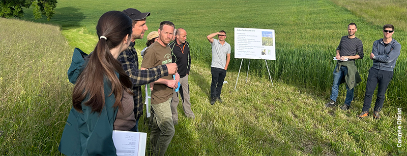 Farmers and advisers discussing crops and sharing knowledge during a field visit.